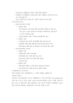 [마케팅] 대한항공 기업분석과 마케팅전략-11
