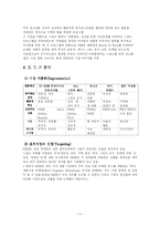 나이키 국제경영전략-11