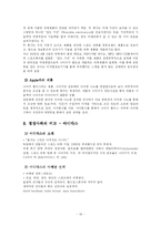 나이키 국제경영전략-19