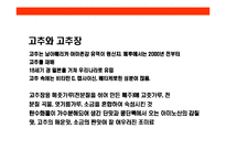 [김치에 대한 이해] 김치에 대한 이해-7