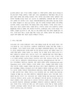 우리나라와 다른 나라(외국)의 장애인복지 비교 (1)-5