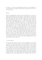 현재 부동산시장 문제점과 대책-4