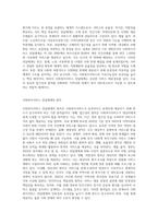 사회복지서비스 전달체계의 개념 및 원칙을 정리하고 사회복지서비스 실제 사례를 통한 전달체계의 개선전략을 제시 (1)-2