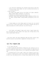 [국제사회]해외지역연구 - 인도-11