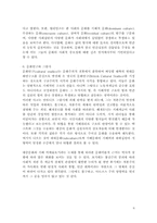 [대중매체]대중문화와 지배이데올로기-6