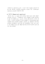 [기타] 광학 현미경의 구조와 사용법-8
