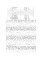 [기타] 연금술 레포트-8