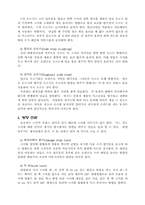 [레포트] 스키 리포트-5