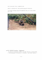 [관광경영]한달간의 호주 배낭여행 계획서-19
