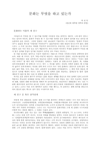 [교양] 문화담론 비판 및 제안-1