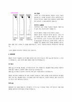 [교양] 볼링 필기시험 족보-11