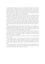 [광고론] 광고론 세계우수 광고 영화제 감상문-4