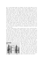 [광고론] 광고 시장의 사회문화적 분석-6