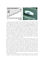 [광고론] 광고 시장의 사회문화적 분석-12