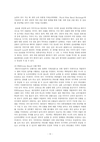 [경영학] 국내 할인점의 문제점 및 해결방안-13