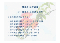 [유아교육] 미국의 유아교육-4