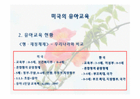 [유아교육] 미국의 유아교육-7