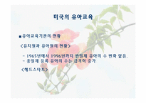 [유아교육] 미국의 유아교육-11