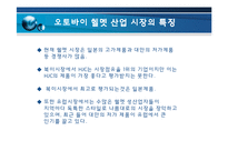[경영전략] HJC의 해외진출-8
