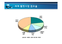 [경영전략] HJC의 해외진출-9