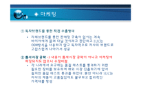 [경영전략] HJC의 해외진출-18