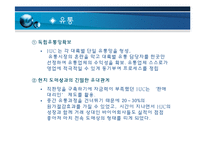 [경영전략] HJC의 해외진출-19