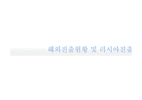 [국제경영] 초코파이 러시아 진출전략-10