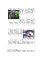 [교육심리] 성공지능 SQ(Successful Intelligence)-6