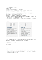 [교육심리] 성공지능 SQ(Successful Intelligence)-9
