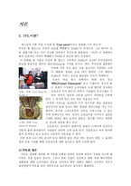 [매스컴] PPL(간접광고)-2
