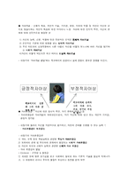 [인간행동] 아동기-6
