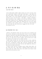 축구에 대해서 레포트-7
