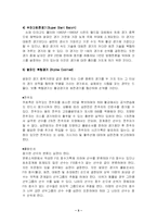 스키에 대해서 레포트-5