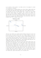 마케팅 레포트-9