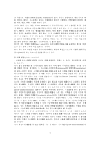 마케팅 레포트-13