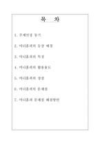 미니홈피 문제점 해결방안-2