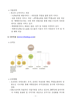 [인터넷쇼핑몰, 전자상거래, 종합쇼핑몰, 오픈마켓] 인터넷쇼핑몰 트렌드와 주요 종합쇼핑몰과 오픈마켓의 사업전략(07년도, 1/4)-8