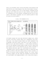 [보험] 우리나라 손해보험회사 발전 방안에 관한 연구-중소형사를 중심으로--7
