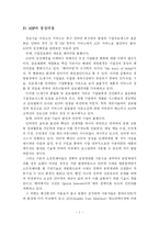 [중소기업] 중소기업에서 ASP의 개념적 이해와 활성화 방안-3
