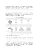 [중소기업] 중소기업의 성공적인 중국시장 마케팅 전략-11