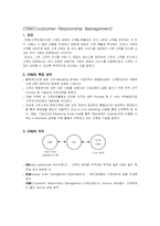 [경영,마케팅] CRM(고객관계관리)에 관한 보고서-1