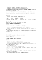 [인터넷] WWW(World Wide Web)에 관한 보고서-3