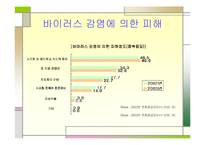 [컴퓨터] 컴퓨터바이러스에 관한 발표보고서-19