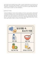일상생활속효소이용 과학보고서 (고등학교 통합과학 보고서) 일상생활 속 효소의 이용 보고서 + 보고서 요약 + 생기부 작성 예시 (3가지 버전)-5