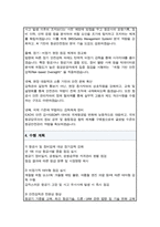 항공안전감독관 직무수행계획서-3