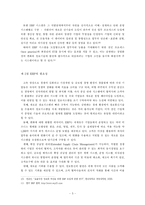 [경영학] 성공적인 erp도입을 위한 수립방안-8