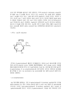 [생물학실험] 16S rDNA Preperation-7