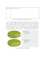 [국제경영] IKEA 이케아 해외 진출 전략-3