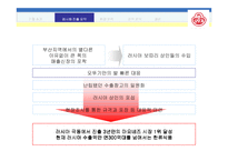 [국제경영론](주) 오뚜기 마요네즈의 러시아 진출 전략-4