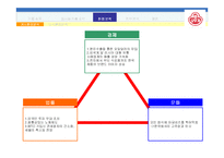 [국제경영론](주) 오뚜기 마요네즈의 러시아 진출 전략-5